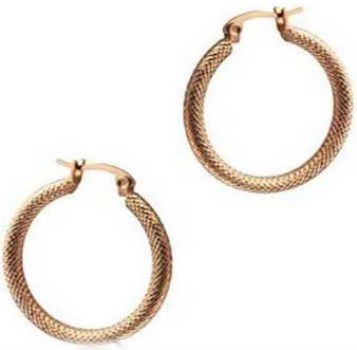گوشواره زنانه تایم فورس مدل  TS5147PR